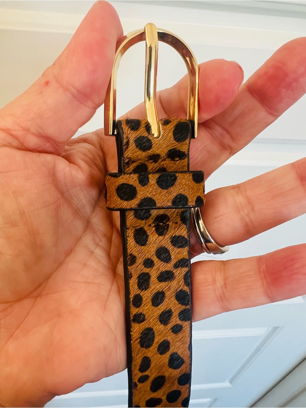 LOFT Leopard Print Haircalf Belt with Gold Buckle